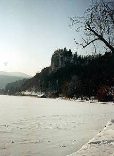 Bled castle