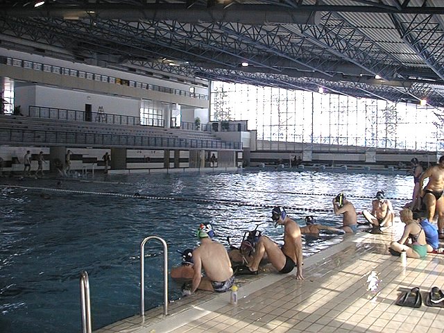 View of the pool